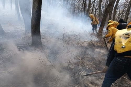 Videos: Mitigan incendio forestal en Atizapán de Zaragoza, pero hay otros 12 activos